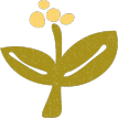 shape-img